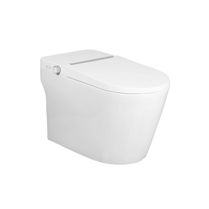 Jedan komad inteligentnog wc-a