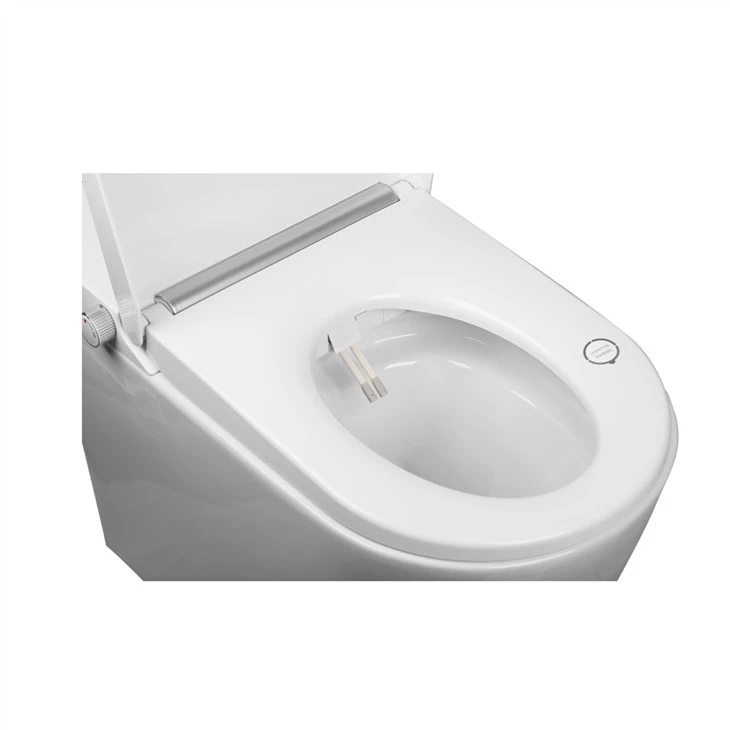 One Piece Intelligent Toilet